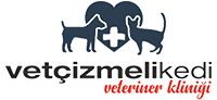 Animus Veteriner Kliniği